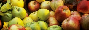 cropped-assorted-apples2.jpg